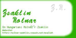 zsaklin molnar business card